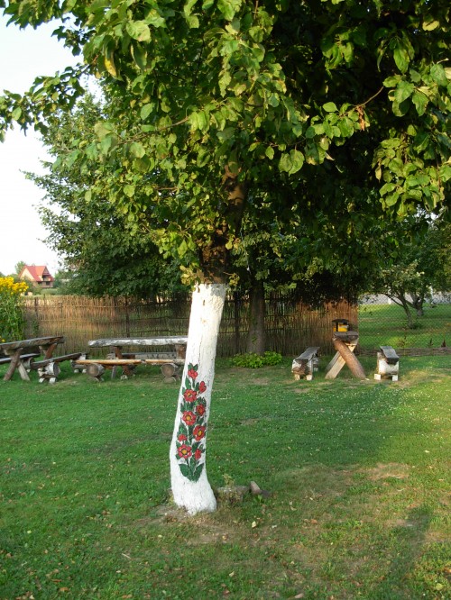 painted tree zalipie poland