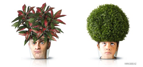 facepot planters for container gardeners