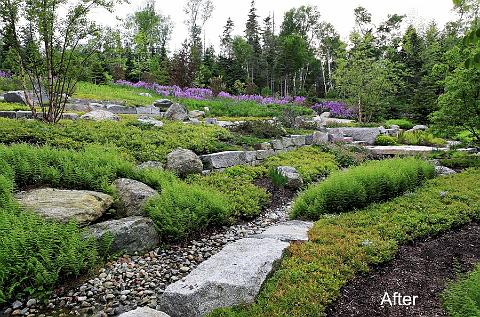 before and after garden makeover maine john riddell