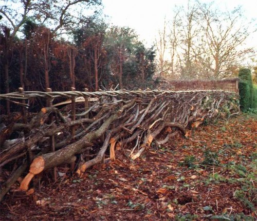 hedgelaying by simon fowler