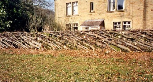 hedgelaying in england by simon fowler