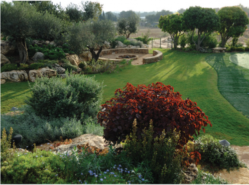 golf and leaves garden in israel