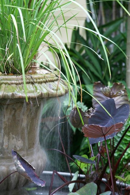 sprout florida residential garden water feature