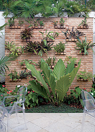 vertical garden with bromeliads and tropical plants