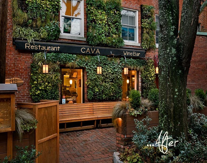 Cava wine bar in portsmouth new hampshire gets a green wall makeover