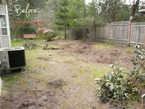 before and after garden makeover