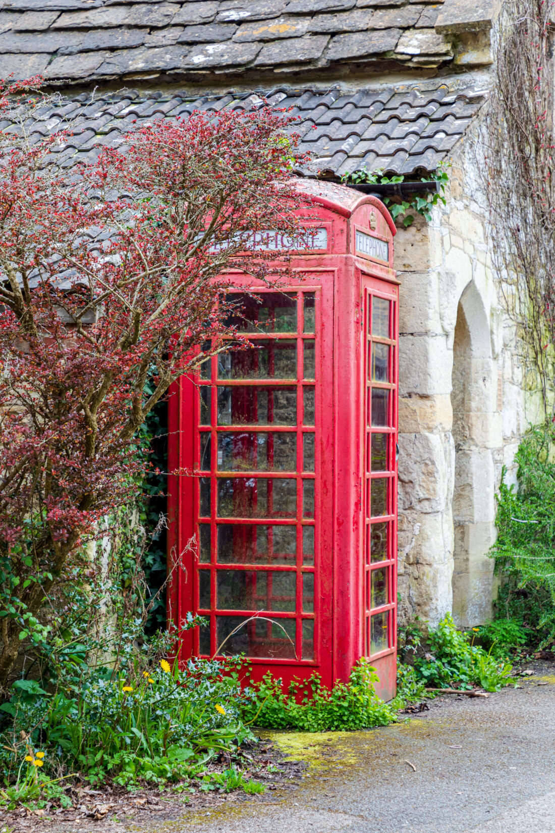A classic red British telephone booth stands beside a stone building, partially surrounded by green plants and a small tree, with colorful flowers at its base—an icon of Garden Culture seamlessly blending tradition and nature.