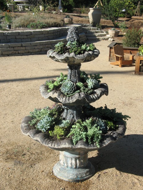 succulents planted water feature arlington garden pasadena california