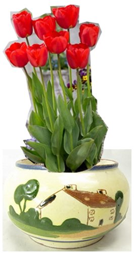 red tulips and antique pot