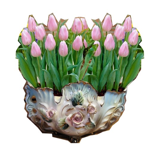 pink tulips and antique pot