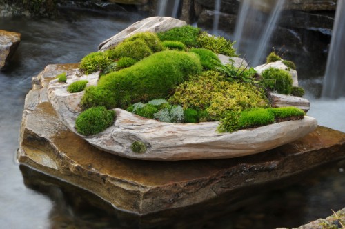 moss and stone garden from moss stone