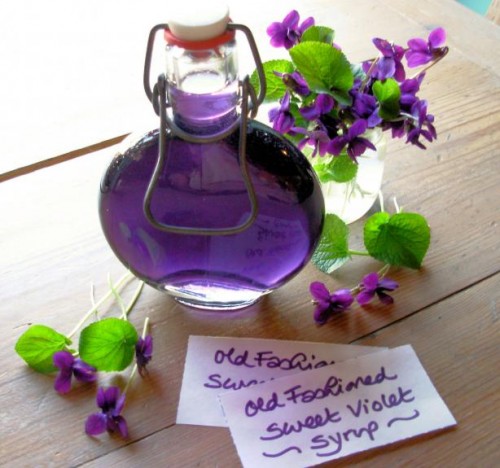 old fashioned sweet violet syrup