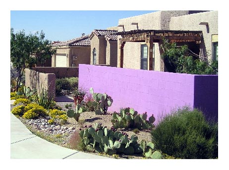 desert garden purple wall