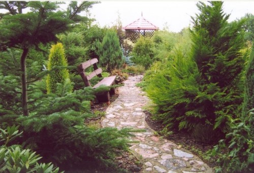 evergreen garden in poland