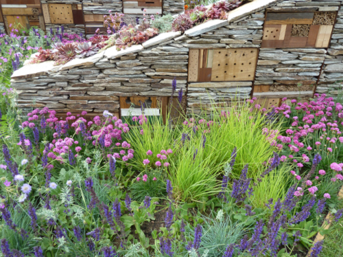 nigel dunnett garden walls for insect house