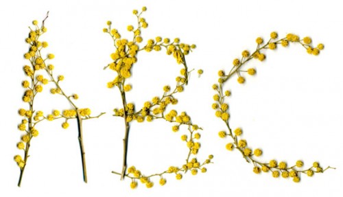 pollinate font