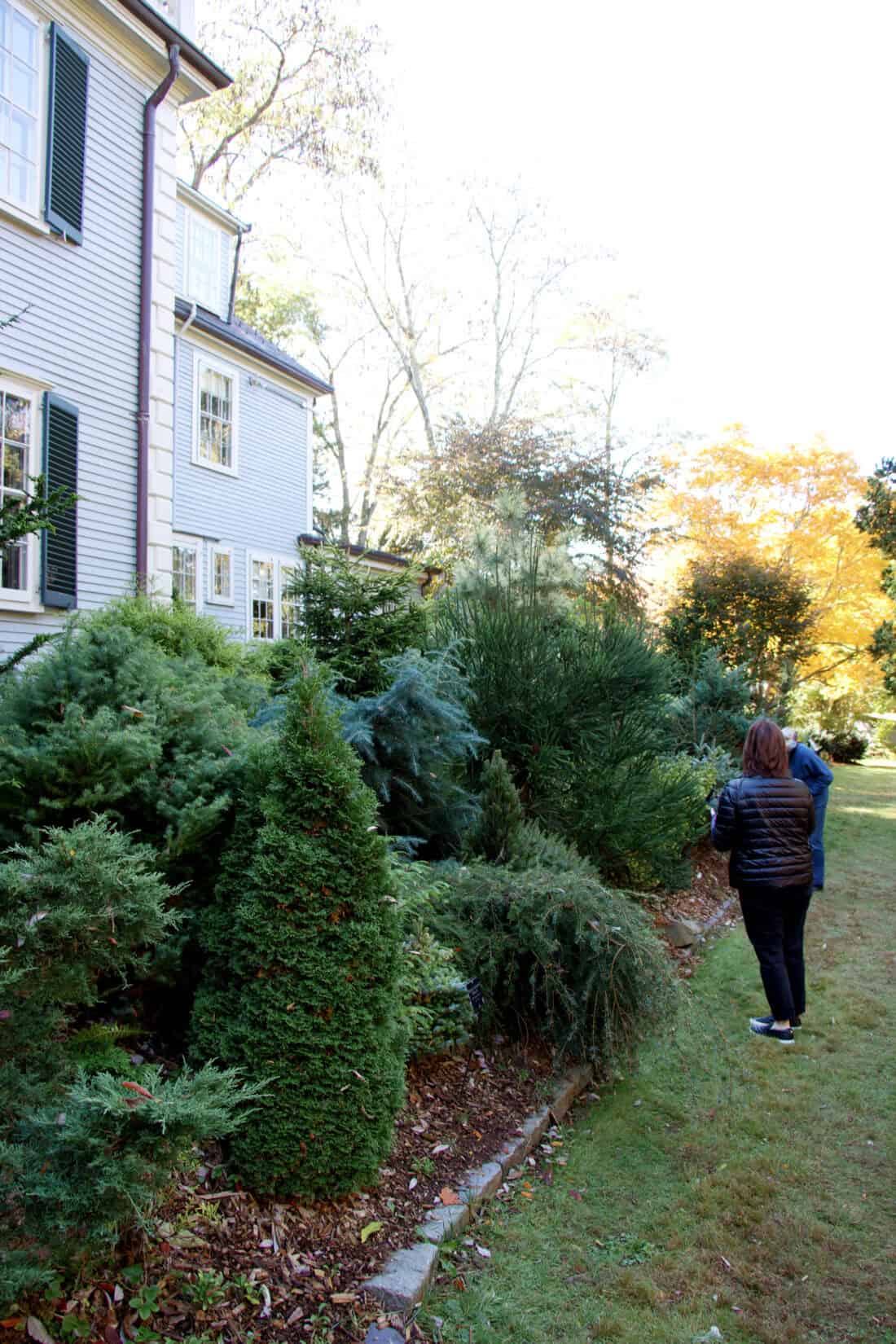 A person stands on a grassy pathway, drawing Evergreen Inspiration from the lush greenery and various trees surrounding a light-colored house with dark shutters. The scene is idyllic, with sunlight filtering through the branches, capturing Iseli Evergreen's natural charm.