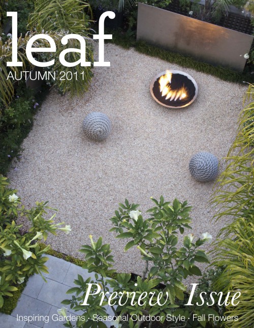 Leaf magazine premiere cover Autumn 2011