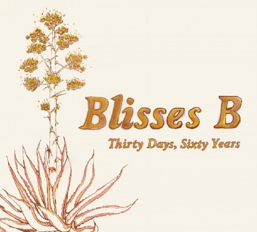 blisses b album cover