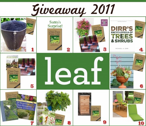 leaf magazine giveaway 2011