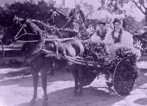 1890 rose parade horse drawn cart