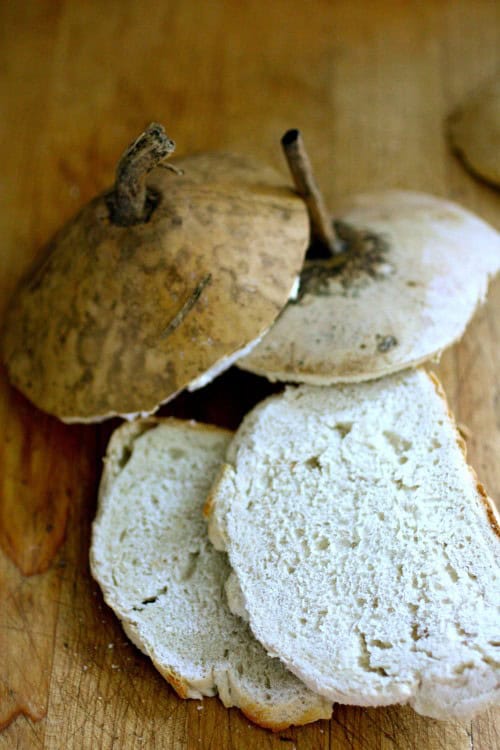 Slices of white breadfruit rest on a wooden surface, their rich brown rinds and stems whispering tales of nature’s bounty. It's as if the earth returns your gaze with every slice—a gentle invitation to kiss the Earth while thoughts of wassailing dance in the background.