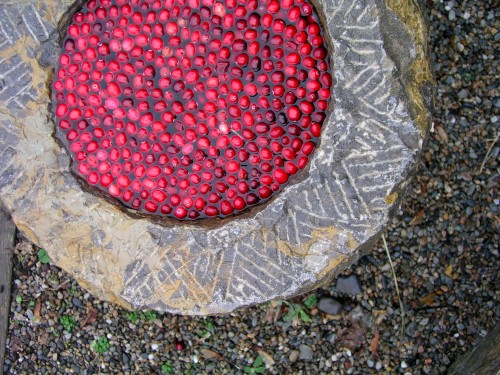 frozen cranberries in stone bowls