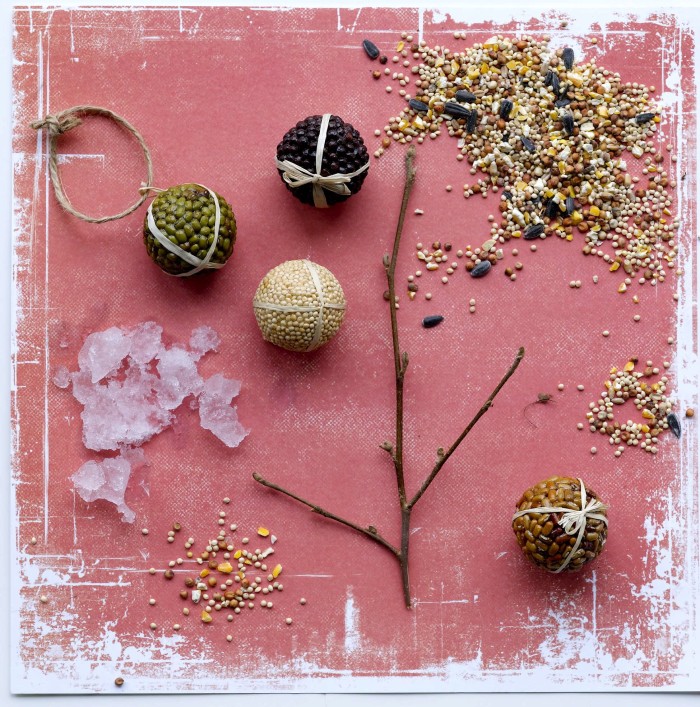 making seeded outdoor winter ornaments