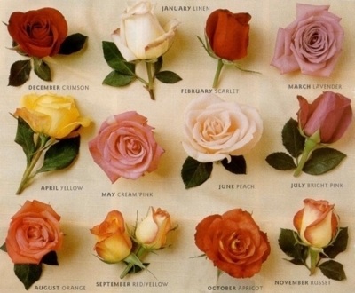 Rose calendar