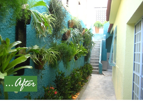 brazilian before and after garden hallway