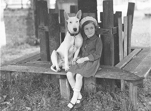 Bull terrier and australian girl circa 1934