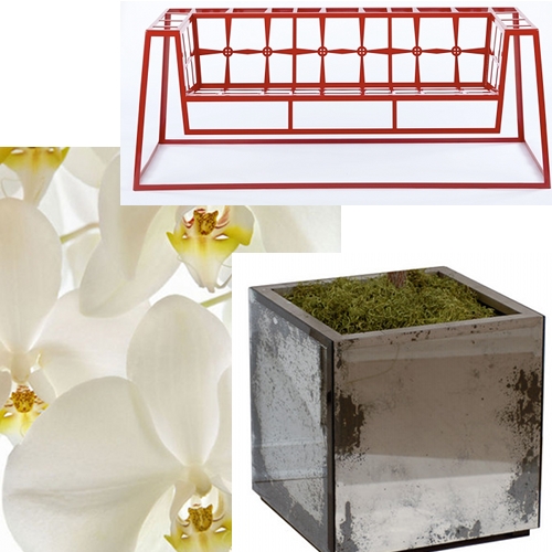 orchids, tufted street bench and mirrored containers