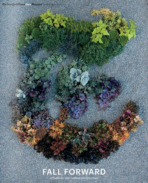 judy kameon for ny times  planted T