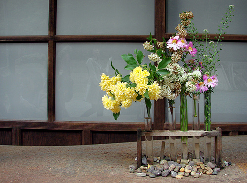 omori japanese street flowers