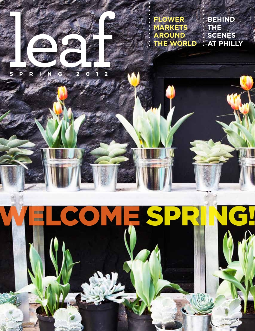 The cover of leaf magazine with potted plants.