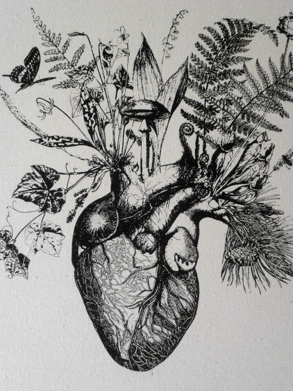 botanical and anatomical graphics the heart grows plants from Utilitarian franchise via www.pithandvigor.com