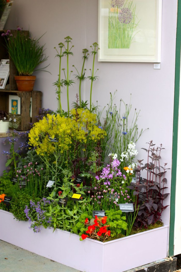 jekka mcvicars herb garden stand at chelsea flower show 2012 by Rochelle Greayer