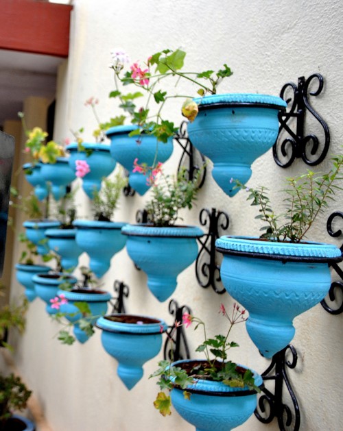 turquoise wall planters from my sunny garden in bangalore india