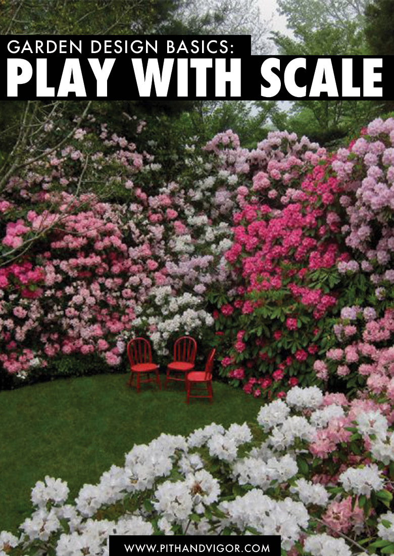 garden design basics - play with scale