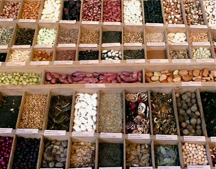 printer drawer seed storage by rochelle greayer www.pithandvigor.com