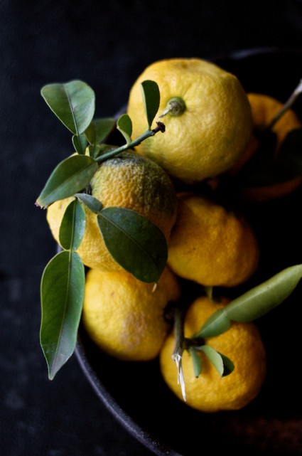 Citrus Growing Tips + How to Make Yonzu Sauce (Yuzu Fruit)