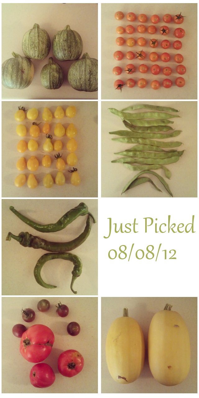 just-picked-