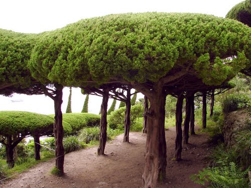 oedo Island garden korea 