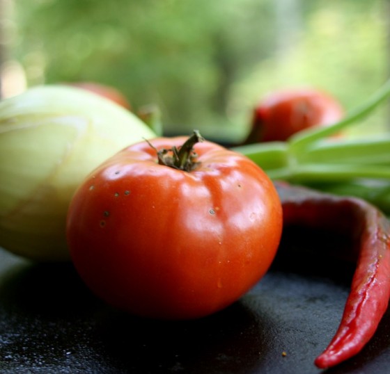garden tomato pepper onion and celery by rochelle greayer www.studioblog.com