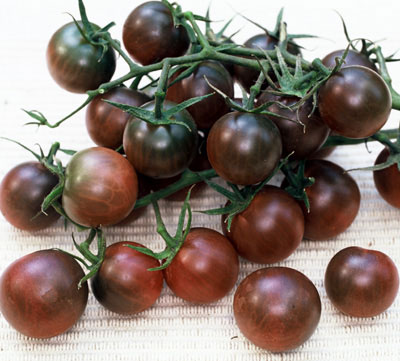 red cherokee tomatoes