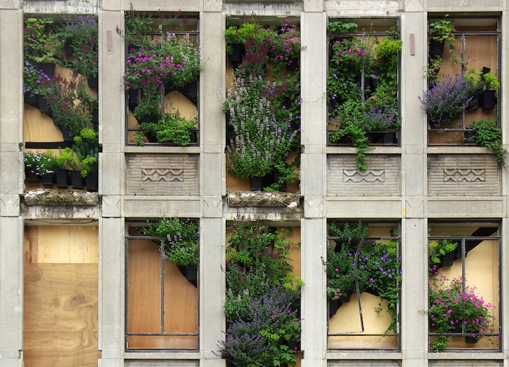 A building with many windows filled with plants.