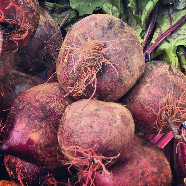 Garden beets by rochelle greayer www.pithandvigor.com