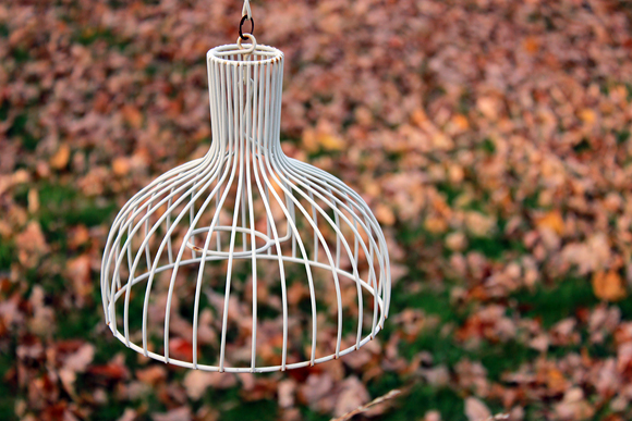 birdcage light