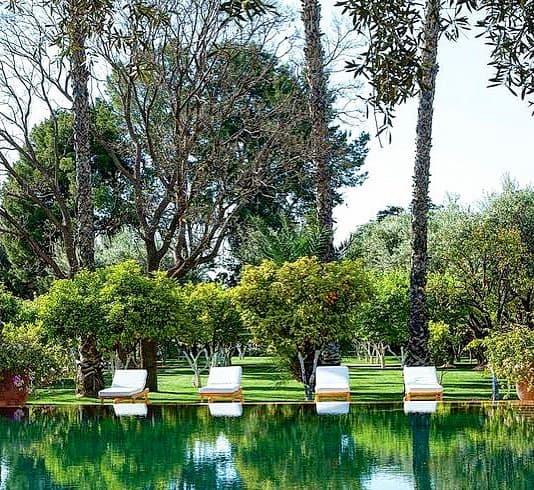 A serene outdoor scene with five white lounge chairs facing a clear, reflective pool. Behind them, lush greenery reminiscent of a Marrakech Garden envelops the space, with palm trees set against a bright, sunny sky.