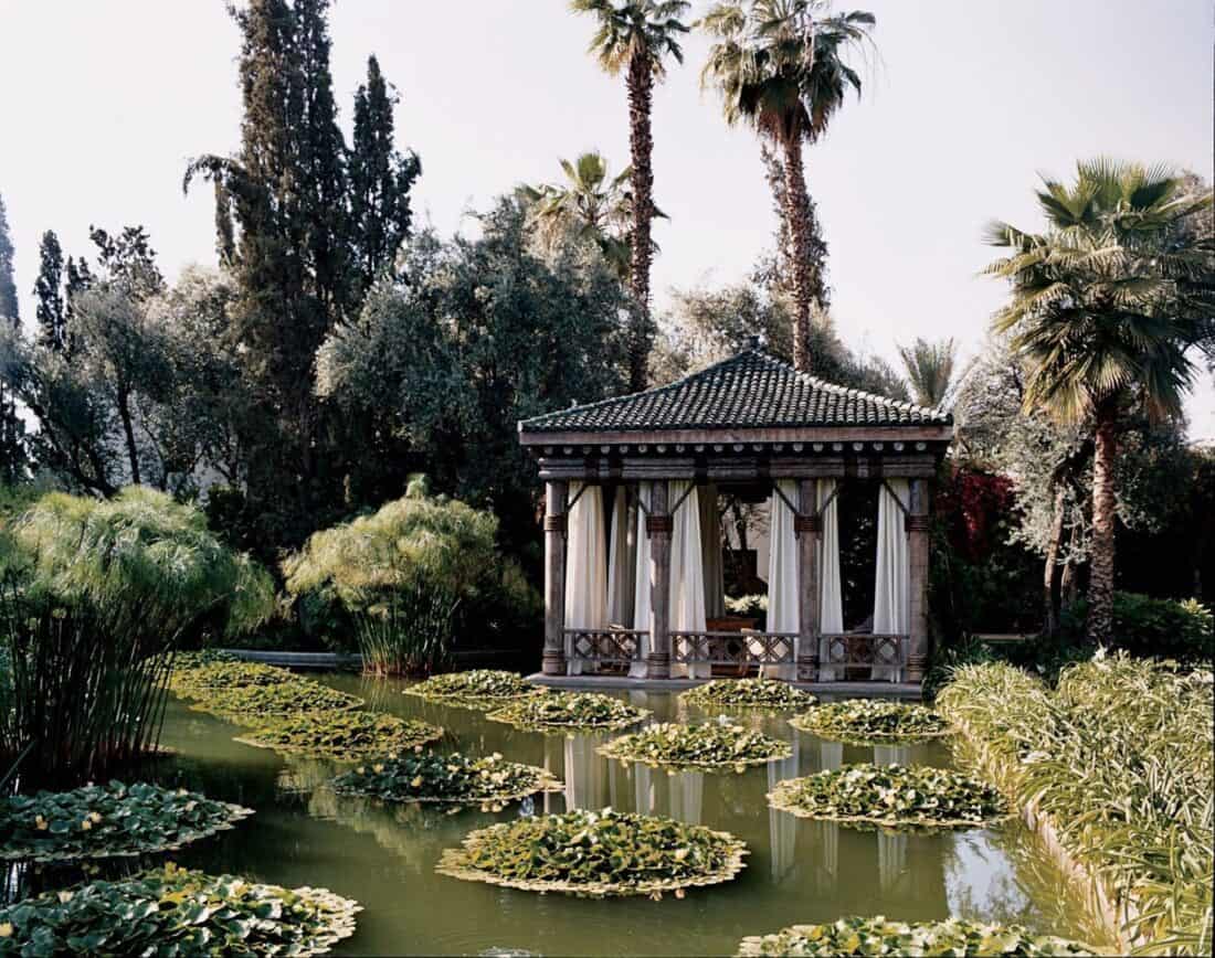 A serene Marrakech Garden scene with a pond filled with lily pads and surrounded by lush greenery. A small, elegant pavilion with a tiled roof is situated in the center, and tall palm trees rise in the background under a clear sky, reminiscent of Marella Agnelli's Garden Gallery.